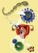 http://cbseportal.com/exam/files/genetic-eng.jpg
