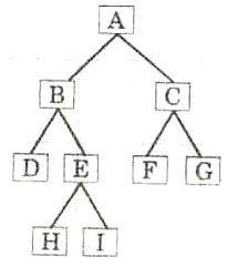 Computer_science_fig2