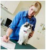 http://cbseportal.com/exam/images/Veterinary.jpg