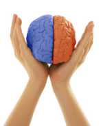 http://cbseportal.com/exam/images/psychology.jpg