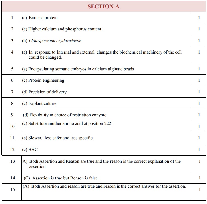 Class 12 papers