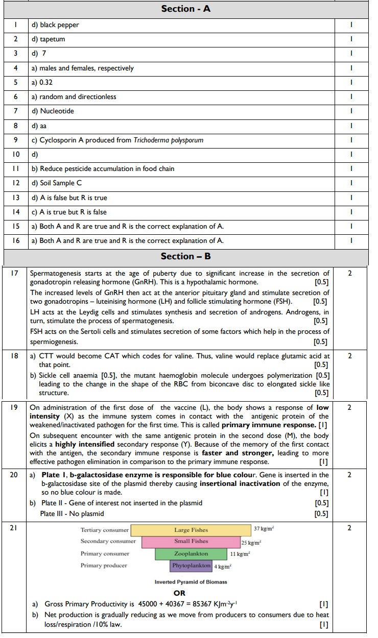 Class 12 papers