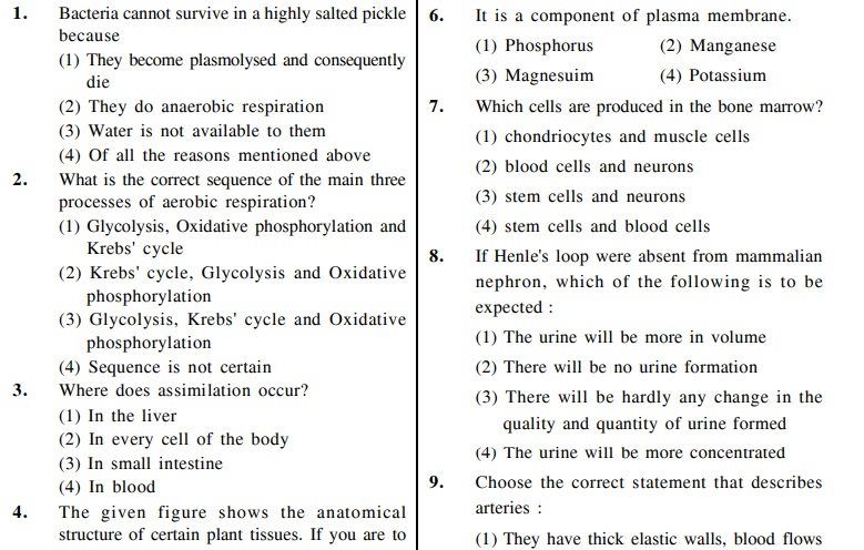 MODEL QUESTION PAPER SOLUTIONS & ANALYSIS FOR SCHOLASTIC APTITUDE TEST  (SAT) EXAM CHEAT SHEET 