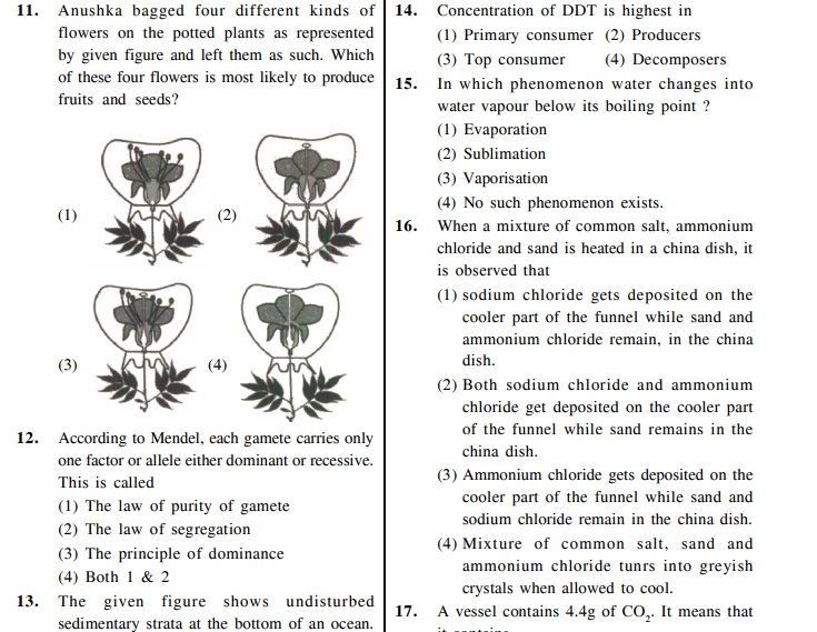 NTSE Sample Questions : Stage-II Scholastic Aptitude Test (SAT)